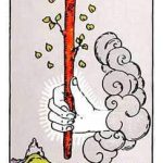 Read more about the article Tarot: ace of wands